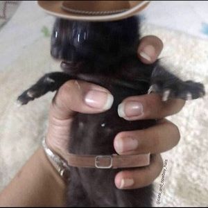 Meet your Posher, Dan